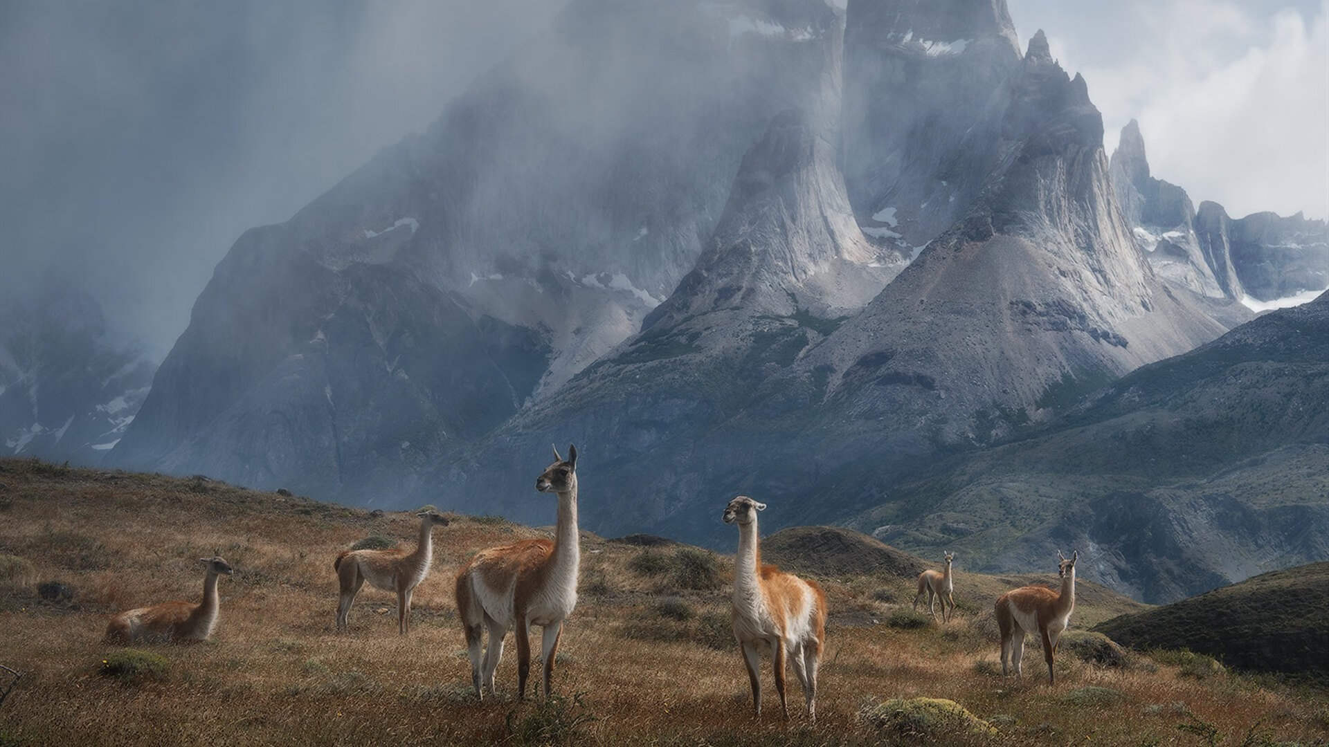 九游下载官网-APEX英雄 俱乐部积极培养新人，apex俱乐部成员等级