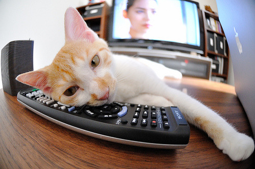 Jiu You-_体验式体育旅游：运动与文化的完美结合_，体育加旅游的意义