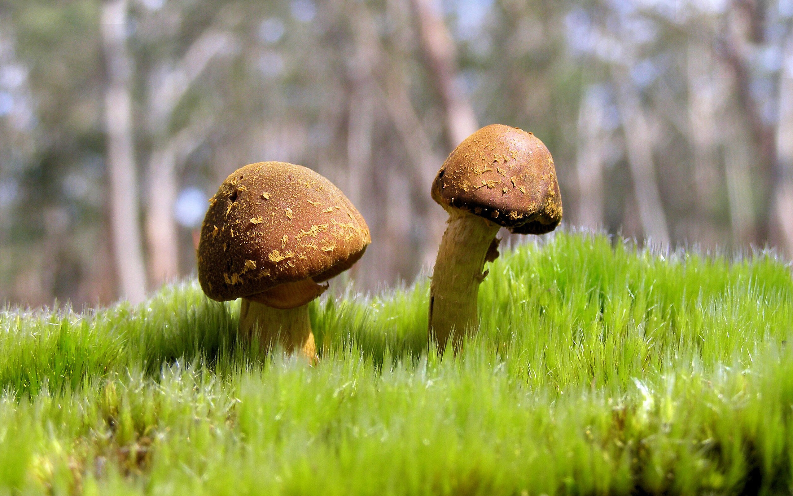 九游-_体育明星启蒙课堂：未来运动之星的摇篮_，被誉为未来体育运动