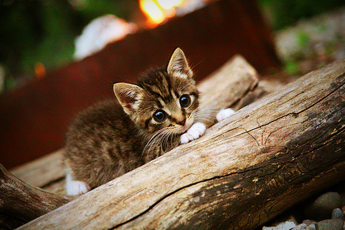 _城市冲浪：人工波浪带来冲浪新体验_，人工冲浪视频