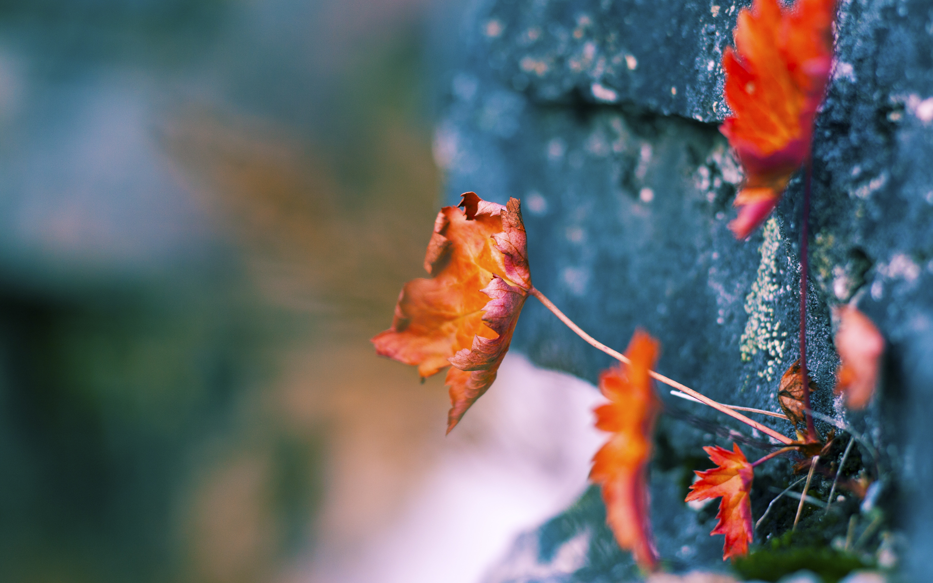 Jiuyou-“青训+智造”模式助推中国足球行业迈向全球竞争新高度，中国的足球青训体系