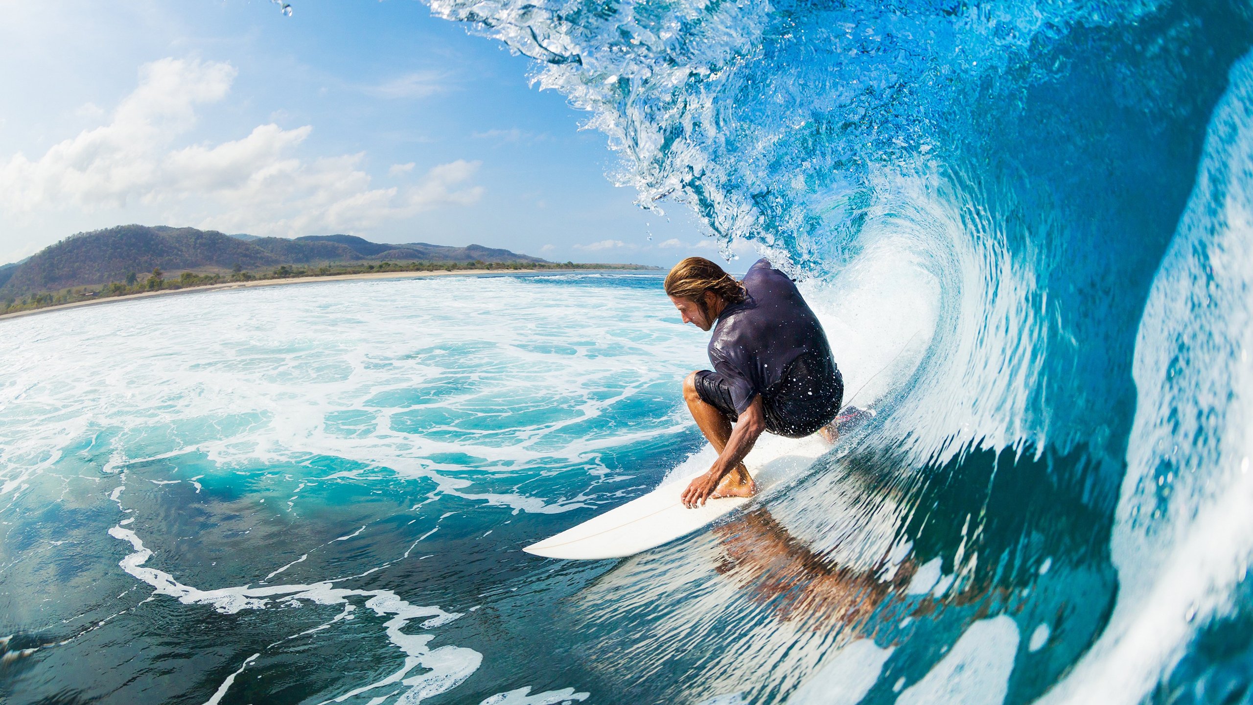 Jiu You-区块链文件处理，将交易公平和透明推进到新高度，区块链中的dao