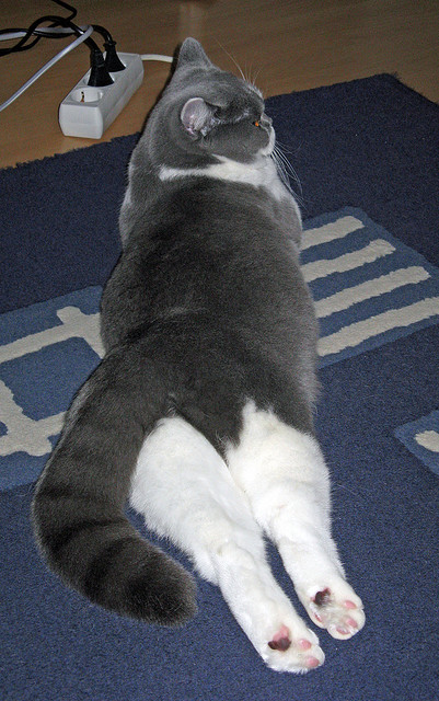 九游官网pc-勇士在客场面对快船，库里投中关键三分，带队逆转！，勇士快船库里集锦