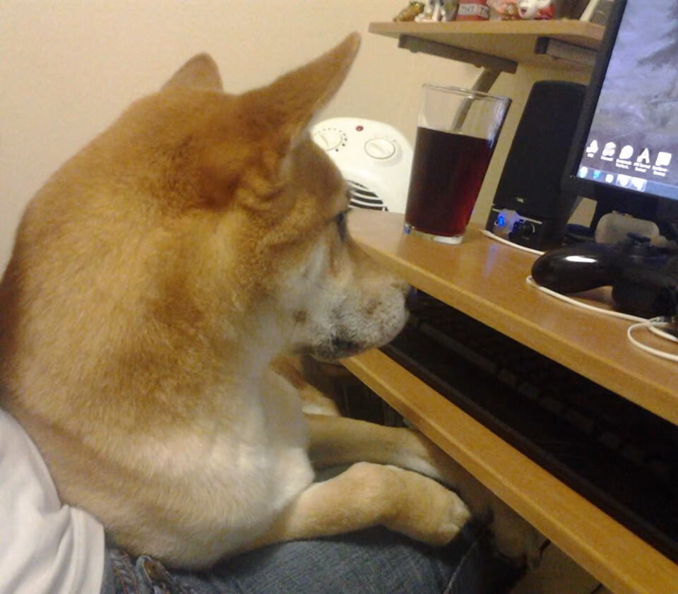 战术变化揭秘：高手们的应变之道，战术应变汉化破解版