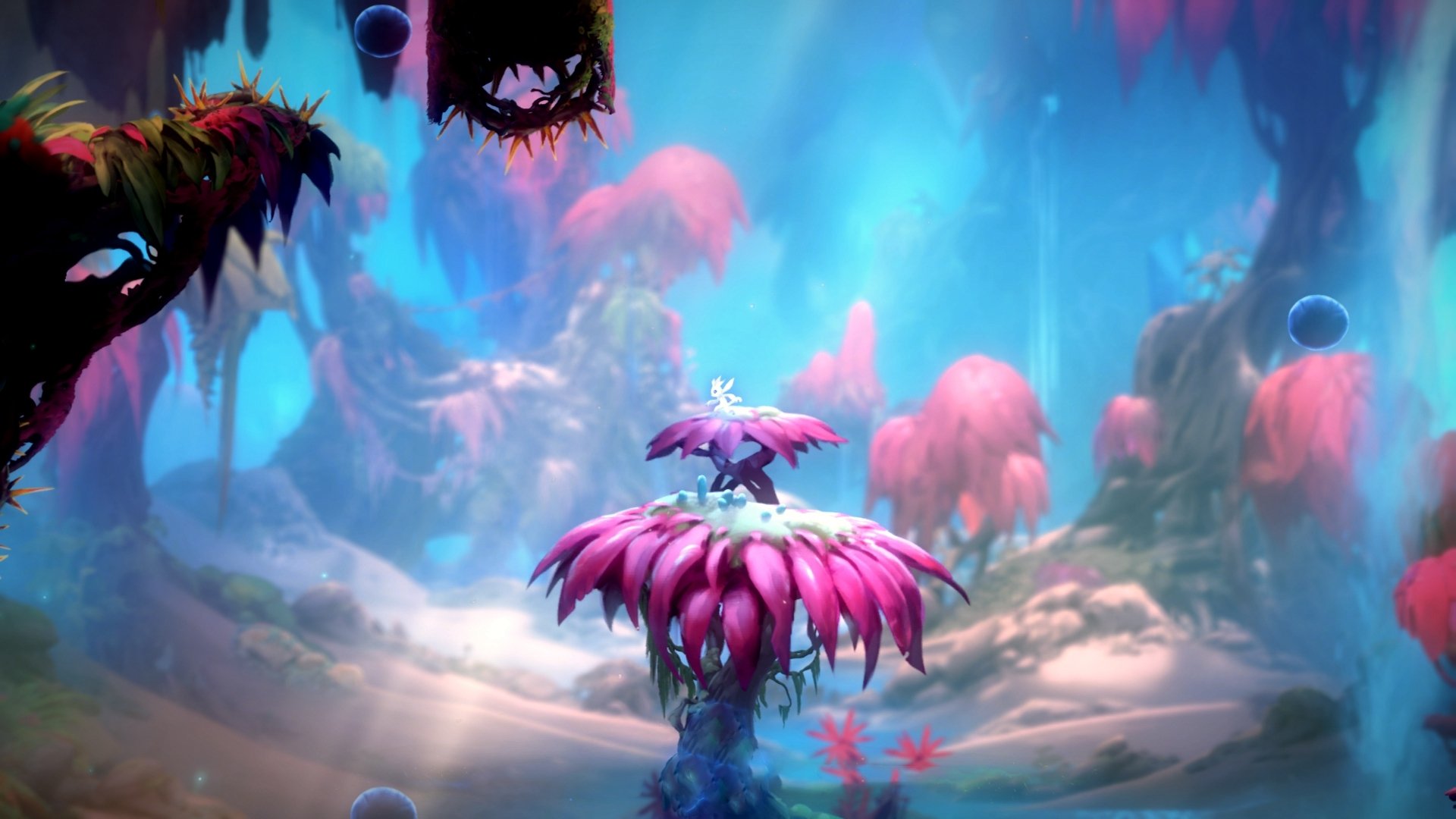 九游APP官网-日本队发挥团队协作优势，日本人团队的沟通技巧