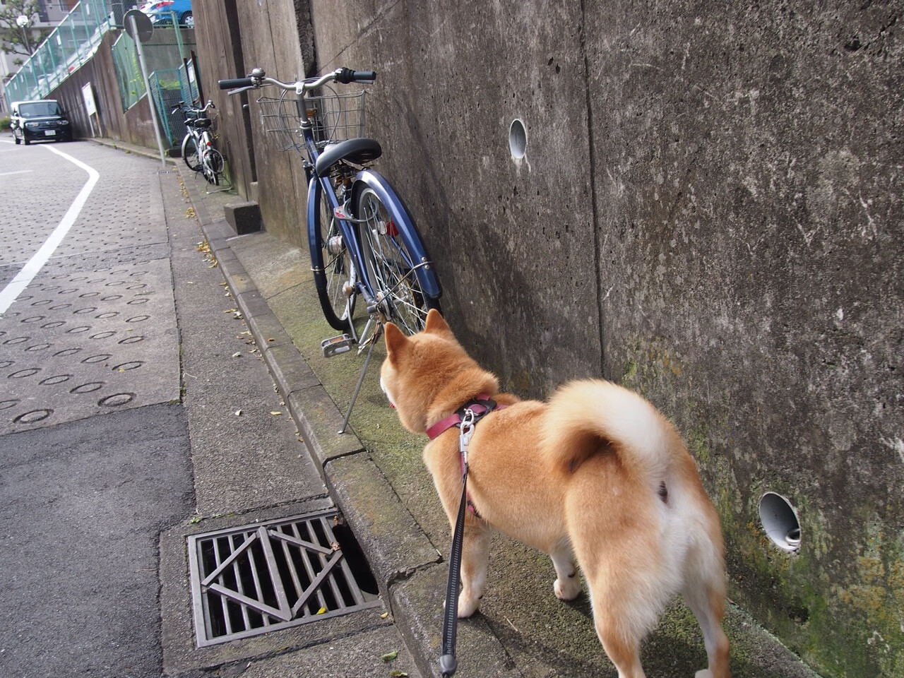 九游游戏中心-永恒瞬间：那些让人热血沸腾的比赛片段，精彩瞬间的永恒