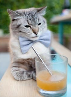 特色虚拟运动体验，未来体育的新潮流，虚拟运动的好处