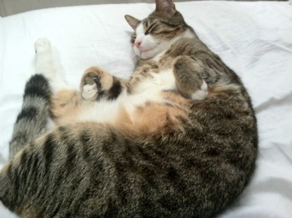 76人球队季后赛备战有条不紊,76人季后赛赛程表