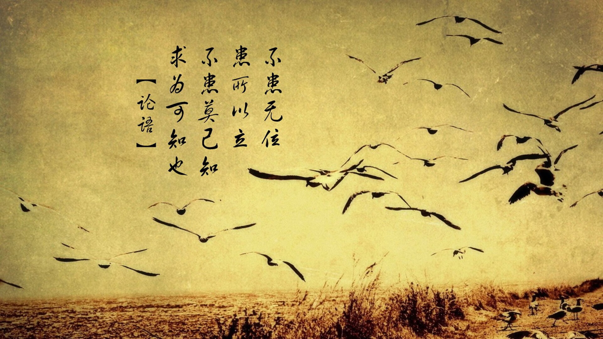 九游网-丹麦战队 Heroic 在 ESL One Cologne 中获得第二名，丹麦队官方