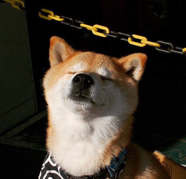 九游网页版入口-北京国安防线表现持续提升，北京国安防务科技中心办事处是干嘛的