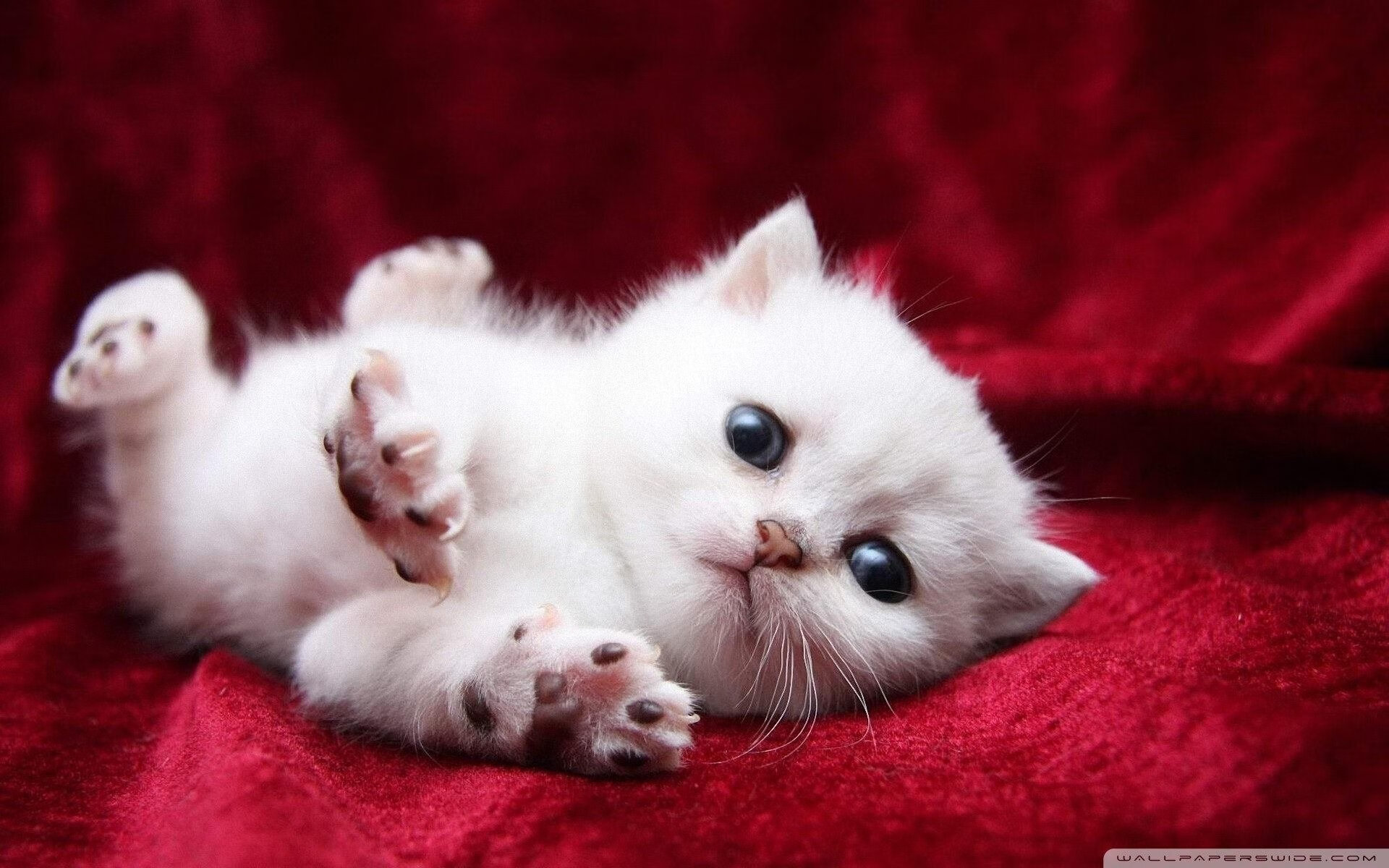 女性瑜伽课程受欢迎，提升女性健康意识，女性专题瑜伽