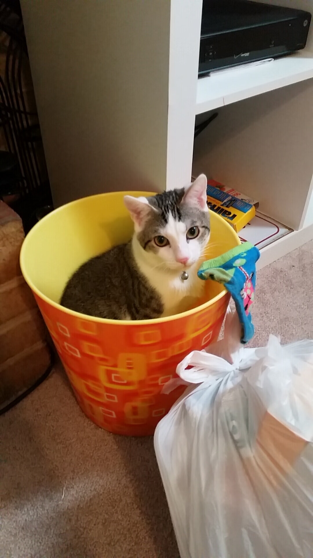 九游娱乐(jiuyou)官方网站-德国女子200米蝶泳选手在预赛中表现出色，晋级半决赛，女子200米蝶泳决赛东京奥运会