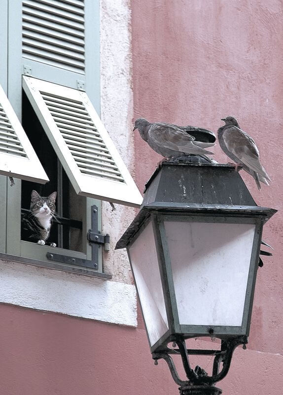 九游网页版入口-柏林柏林联队客场告捷，取得连胜势头，柏林联合战绩