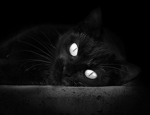 九游下载安装-防线连续失球，困扰球队备战思考不已，防守线位