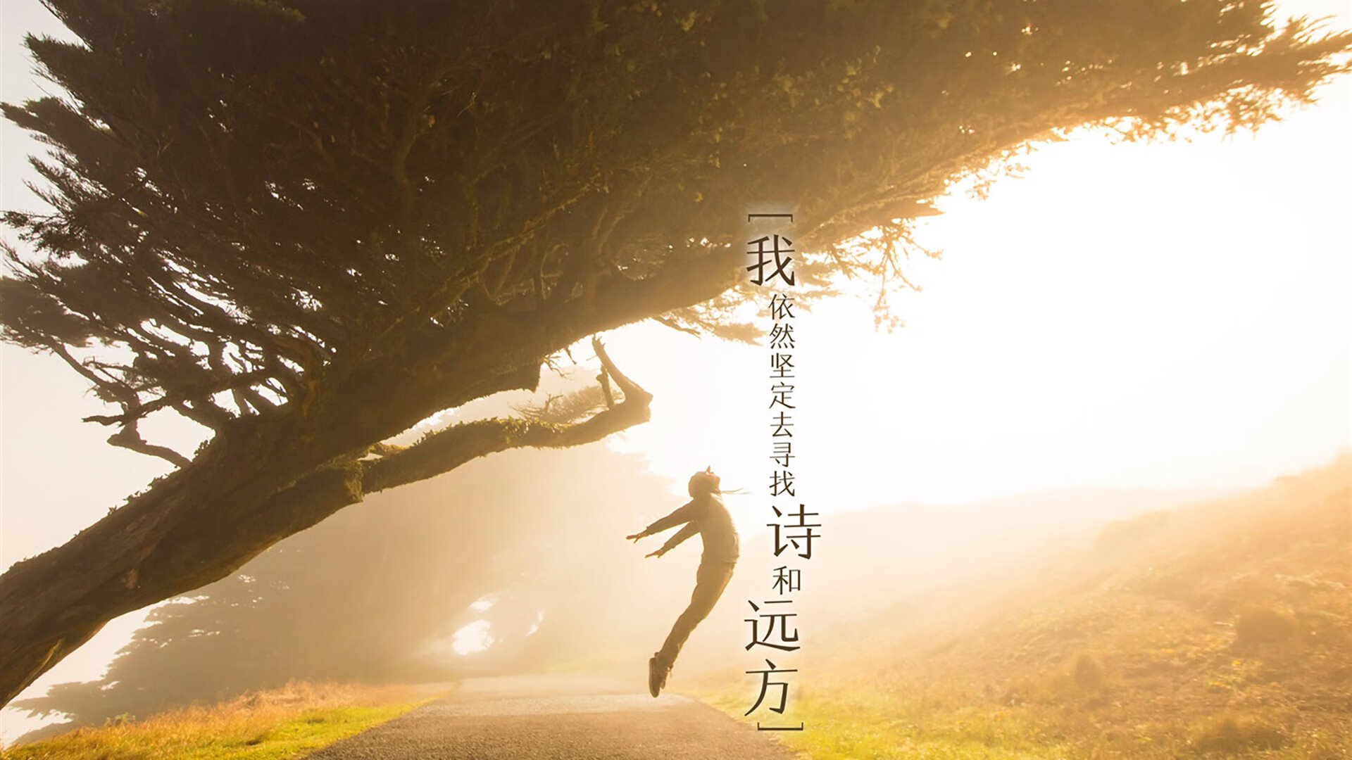 全民健身摄影作品展览走进体育馆大厅，体育运动摄影作品展