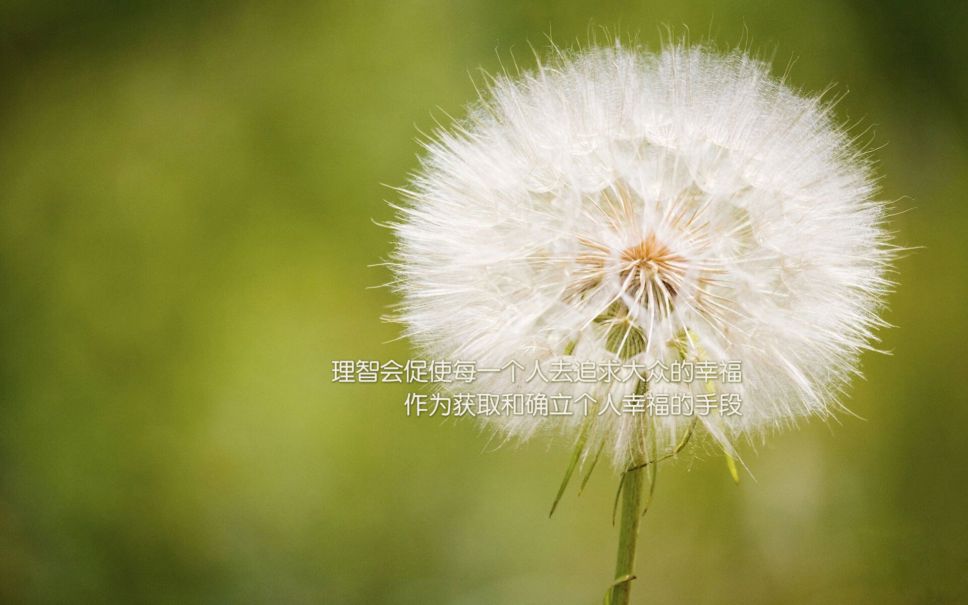 外援与本土球员合作默契不足,外援与本土球员合作默契不足怎么办