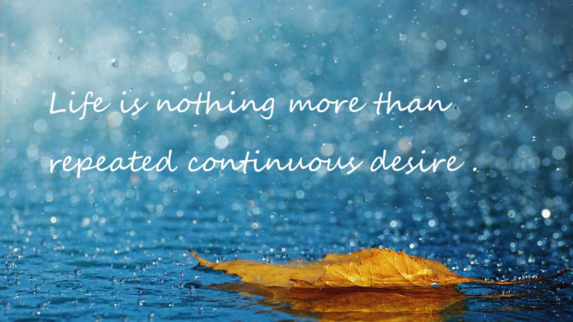 瑞典乒乓球队未来发展展望:走向全球竞技巅峰,瑞典乒乓球鼎盛时期