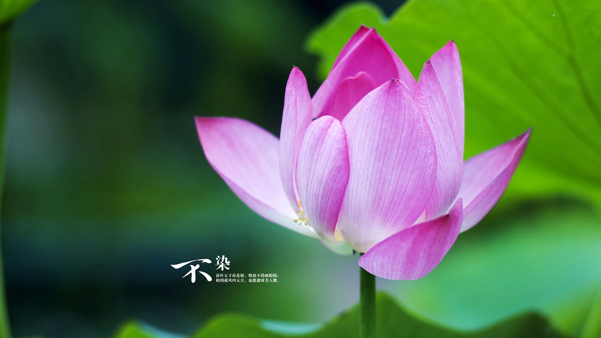 JiuyouAPP下载-青训体系建设实现多点开花，青训管理