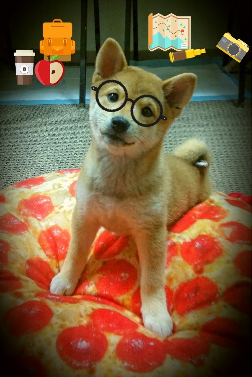 九游9游-“胡利安·门德斯的出色表现和技术创新，成就阿根廷美洲狮队未来之星”