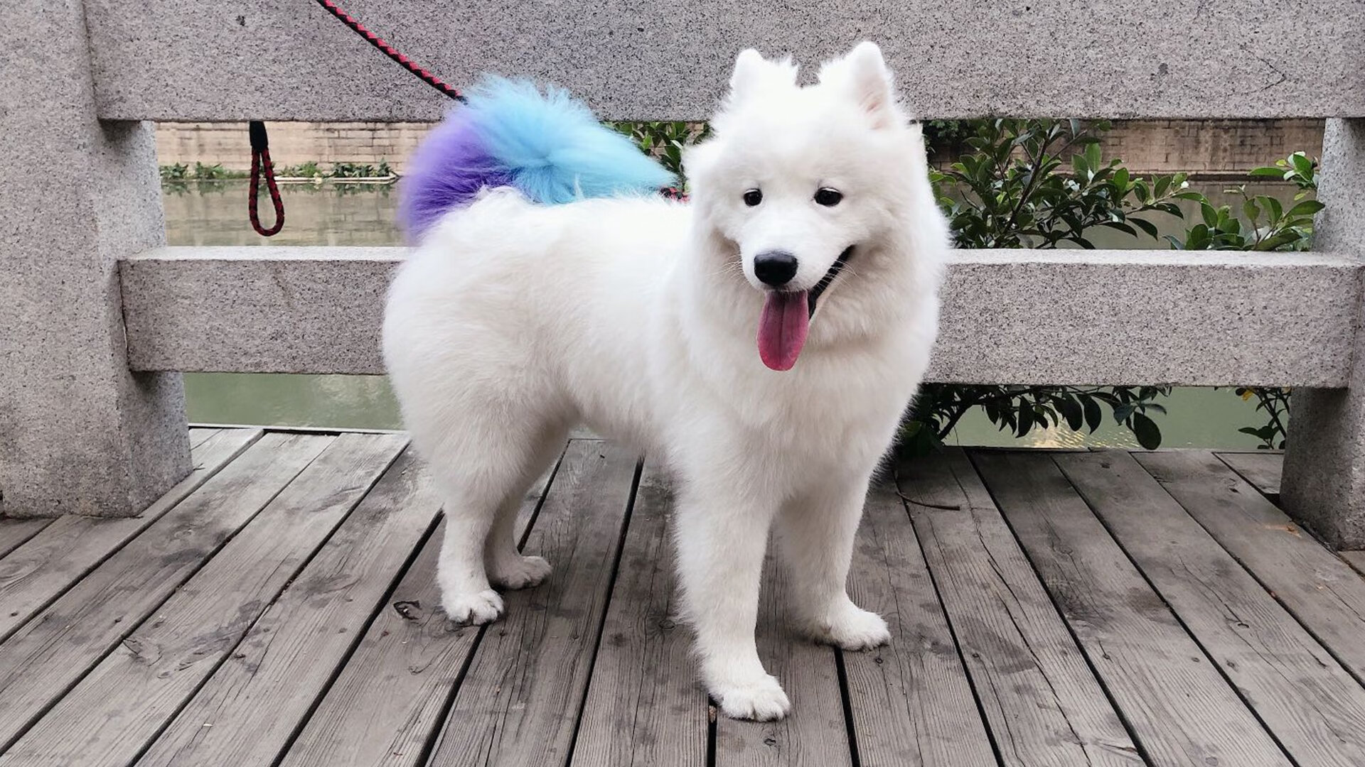 李恩:全黑队中场的“眼睛”,每一次传球都直指对方防线漏洞