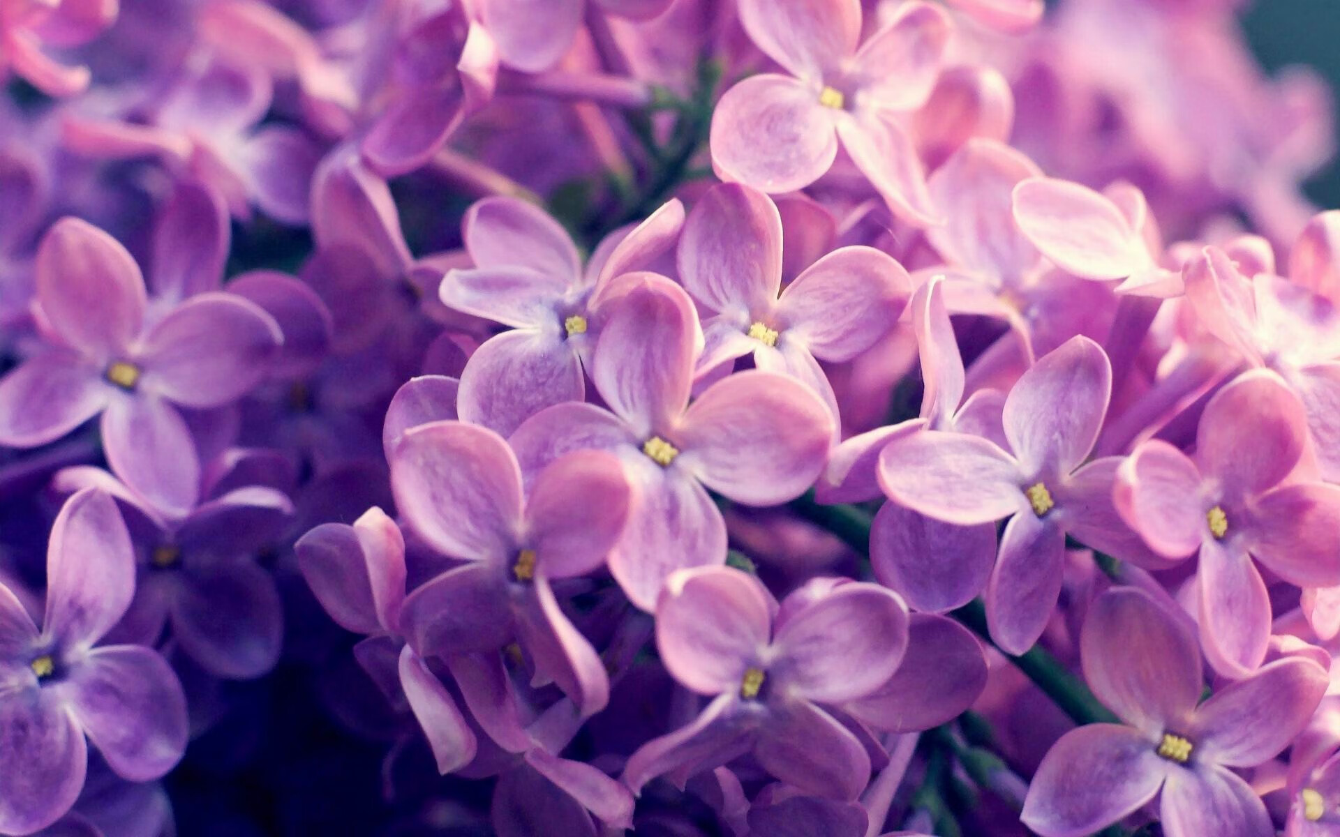 欧洲杯决战场:战术变化引领新潮流!,欧洲杯决赛赛前分析