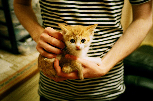 九游sports-篮球训练营招生火爆情况，篮球馆训练营招生技巧