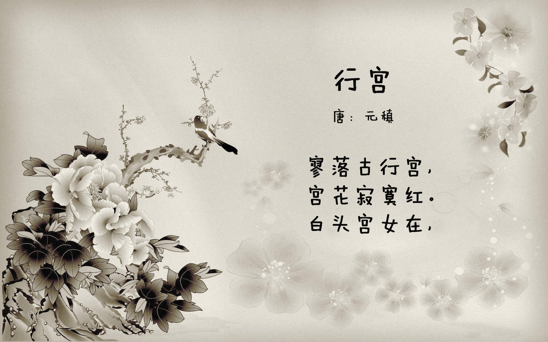 美洲杯超级明星竞技:激情满满!,美洲杯巨星